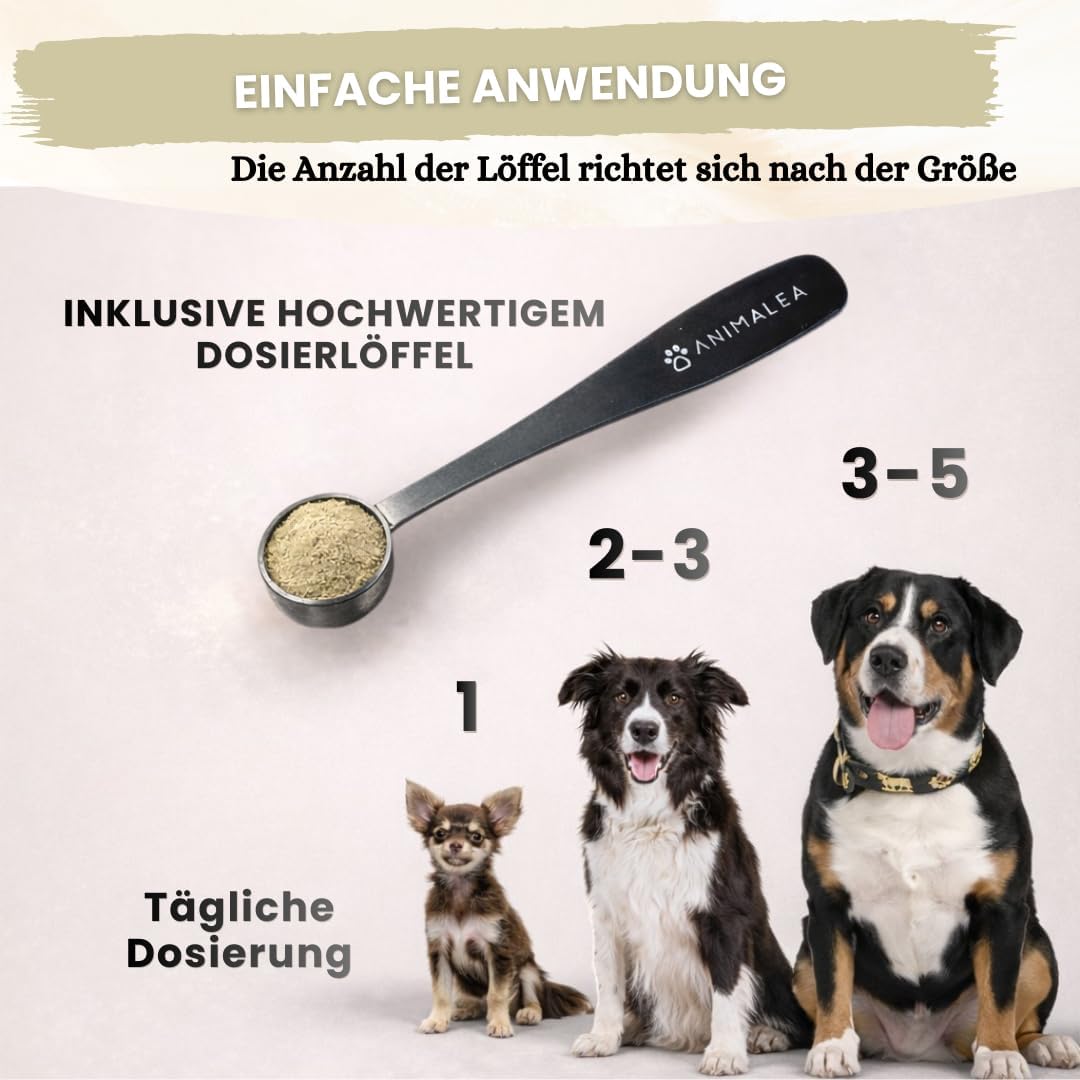 Zahnpflege Pulver für Hunde 300g