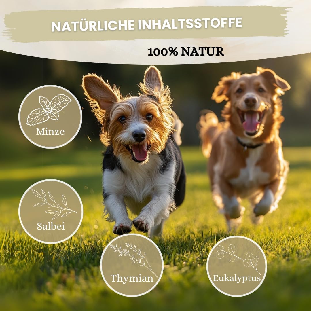 Dentalspray für Hunde & Katzen -150 ml