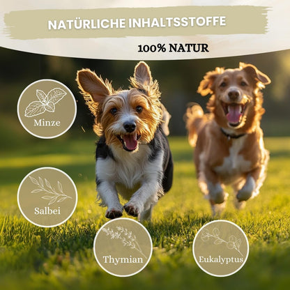 Dentalspray für Hunde & Katzen -150 ml