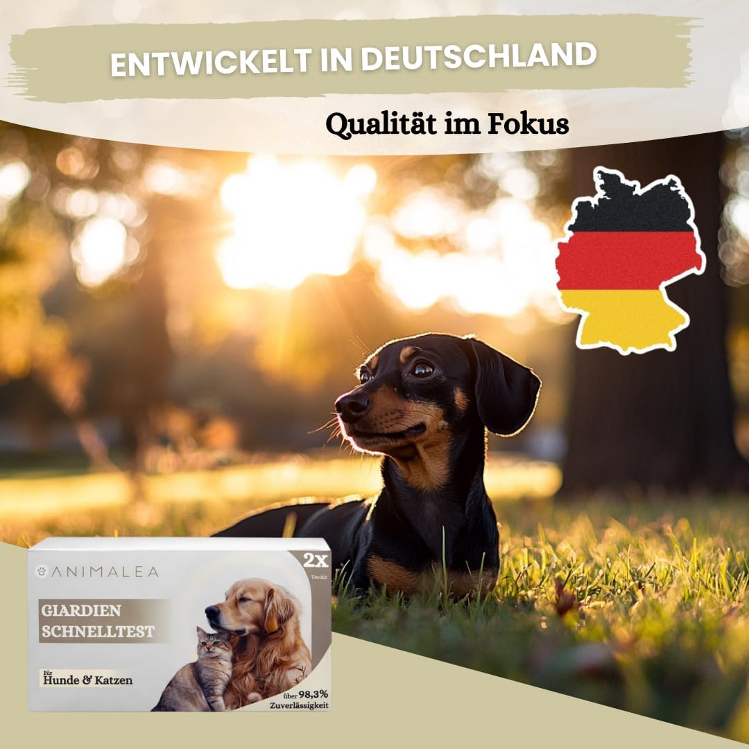 Giardien Schnelltest Hund & Katze - 2 Stück