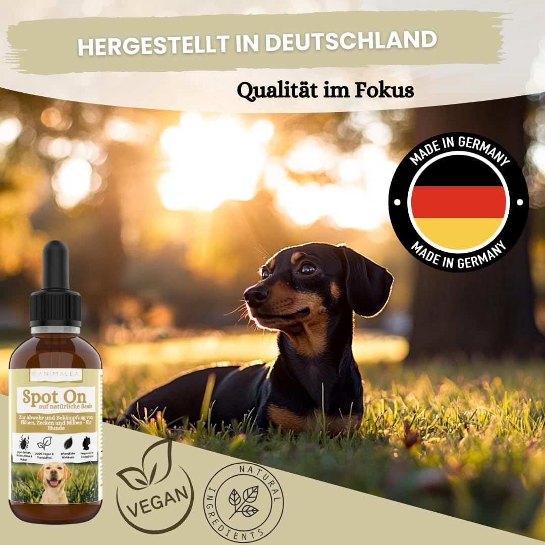 Zeckenschutz für Hunde ab 2kg - 50 ml