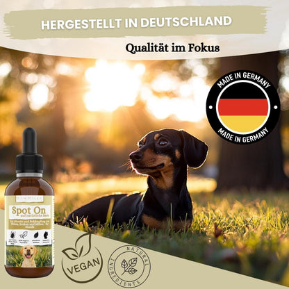 Zeckenschutz für Hunde ab 2kg - 50 ml