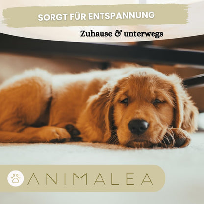 Beruhigungshalsband für Hunde - 2 Stück