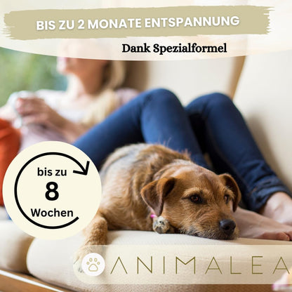 Beruhigungshalsband für Hunde - 2 Stück