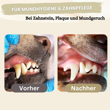 Zahnpflege Pulver für Hunde 300g