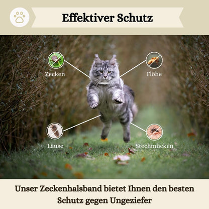 Zeckenhalsband für Katzen - 2 Stück