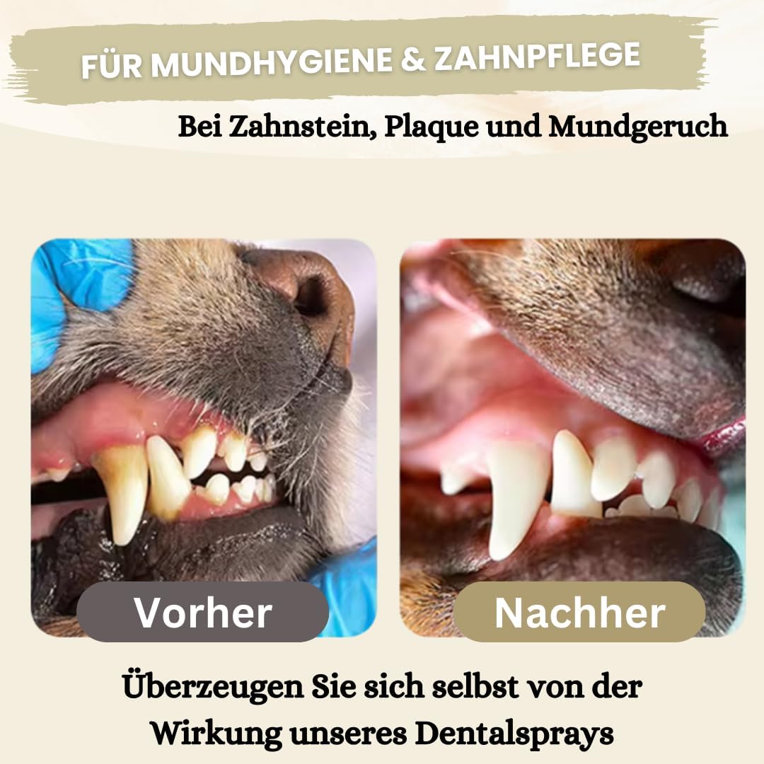 Dentalspray für Hunde & Katzen -150 ml