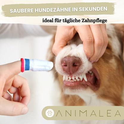 Zahnbürste für Hunde und Katzen - 2 Stück (Kopie)