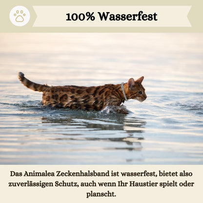 Zeckenhalsband für Katzen - 2 Stück