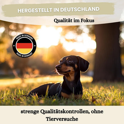 Dentalspray für Hunde & Katzen -150 ml