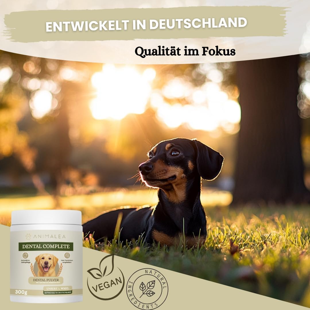 Zahnpflege Pulver für Hunde 300g