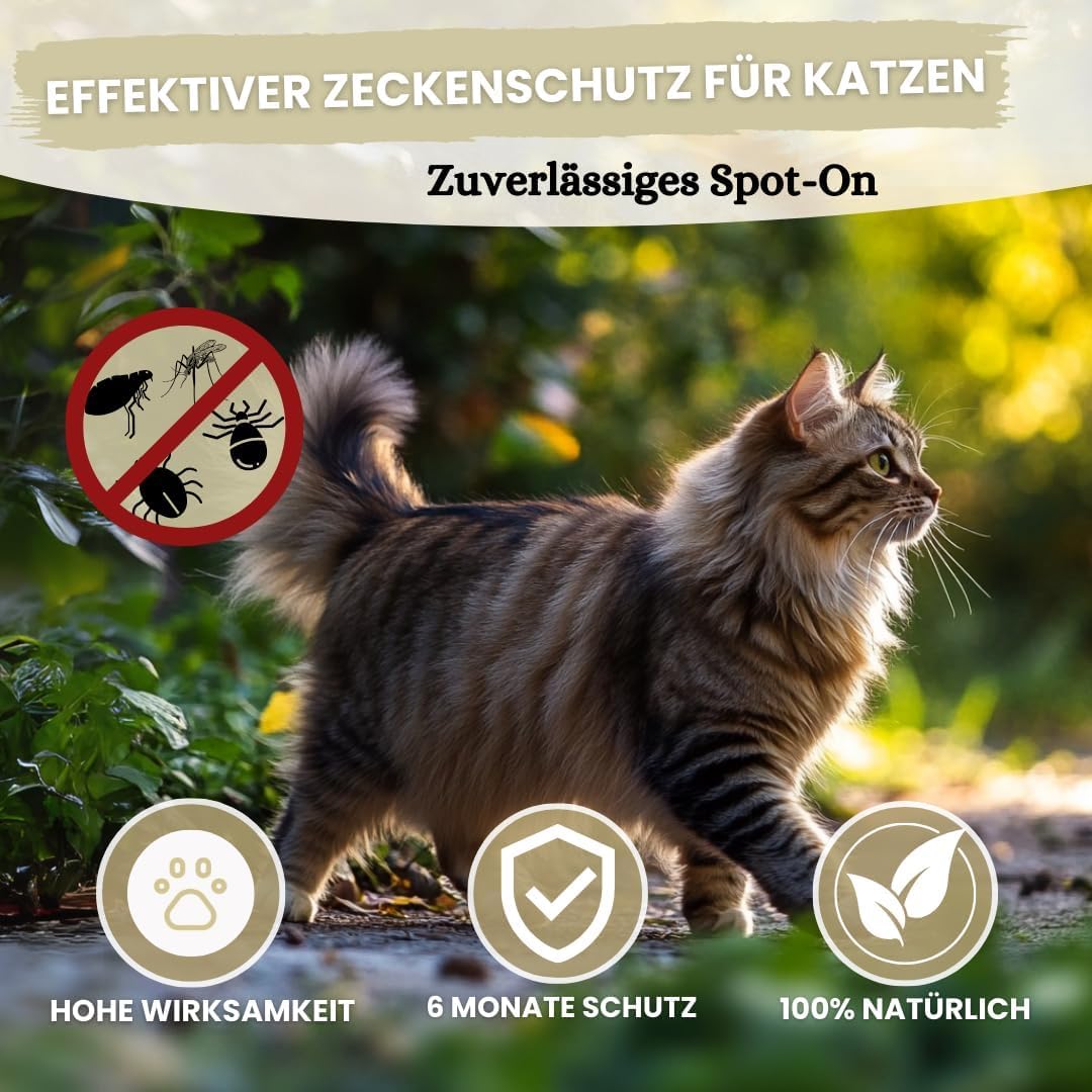 Spot On Natürlicher Zeckenschutz für Katzen