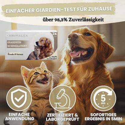 Giardien Schnelltest Hund & Katze - 2 Stück