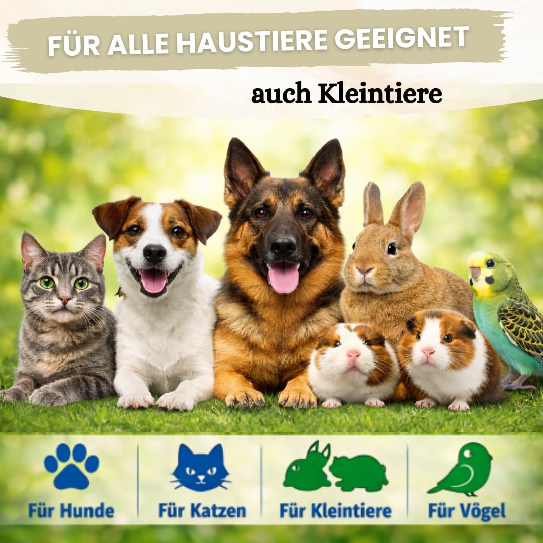 Giardien Schnelltest Hund & Katze - 2 Stück