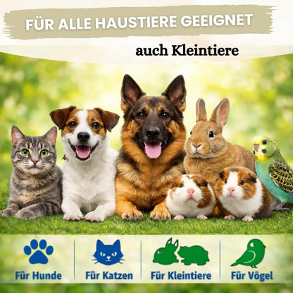 Giardien Schnelltest Hund & Katze - 2 Stück
