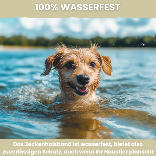 Animalea® Zeckenhalsband für kleine Hunde (2 Stück) - Länge 38cm – Bild 6