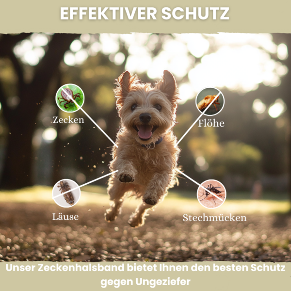 Animalea® Zeckenhalsband für kleine Hunde (2 Stück) - Länge 38cm – Bild 4