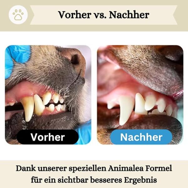 Animalea® Dentalspray für Hunde & Katzen (150 ml) – Bild 6