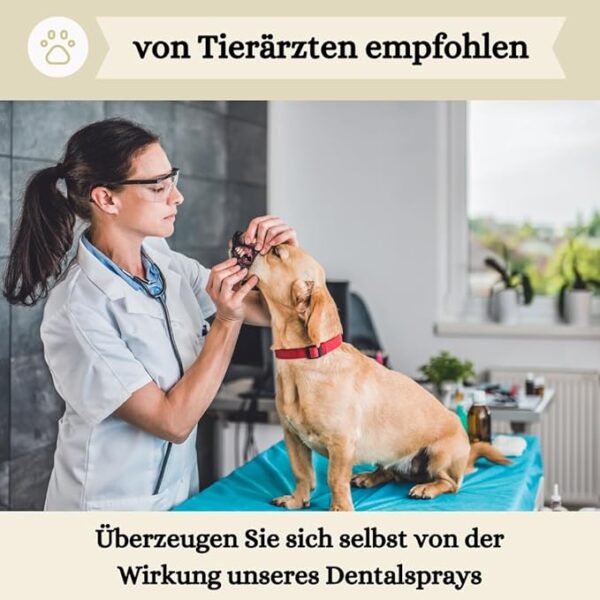 Animalea® Dentalspray für Hunde & Katzen (150 ml) – Bild 5