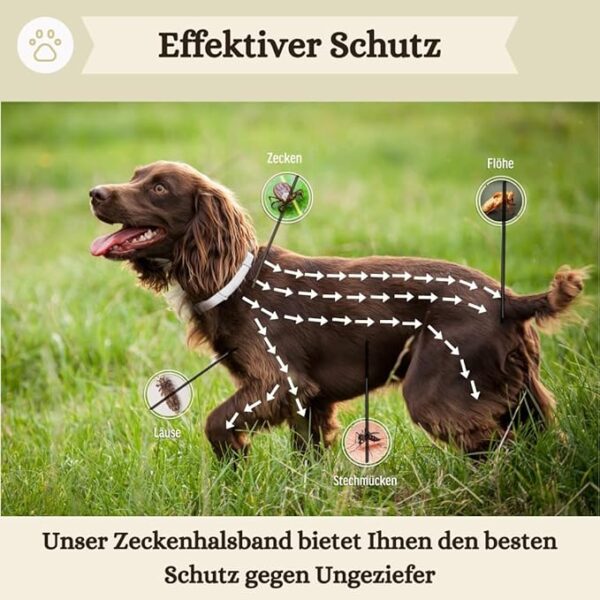 Animalea® Zeckenhalsband für große Hunde (2 Stück) - Länge 62cm – Bild 3