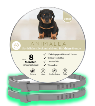Animalea® Zeckenhalsband für kleine Hunde (2 Stück) - Länge 38cm