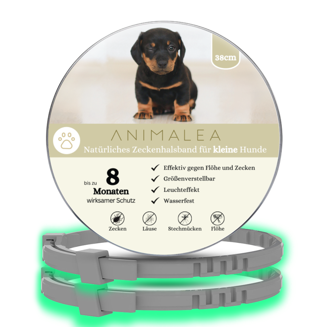 Animalea® Zeckenhalsband für kleine Hunde (2 Stück) - Länge 38cm