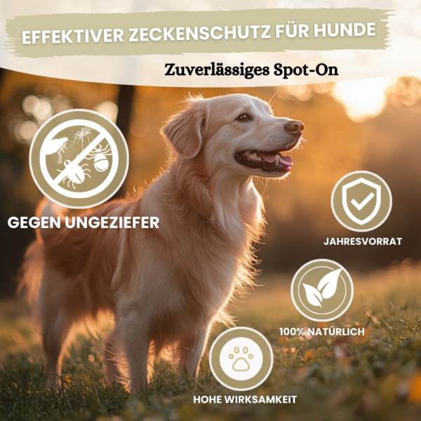 Animalea® Spot On für Hunde - 50ml - Zeckenmittel für Hunde – Bild 3