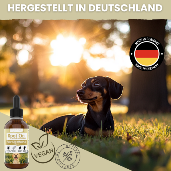 Animalea® Spot On für Hunde - 50ml - Zeckenmittel für Hunde – Bild 5